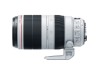 Canon EF 100-400mm f/4.5-5.6L IS II USM 